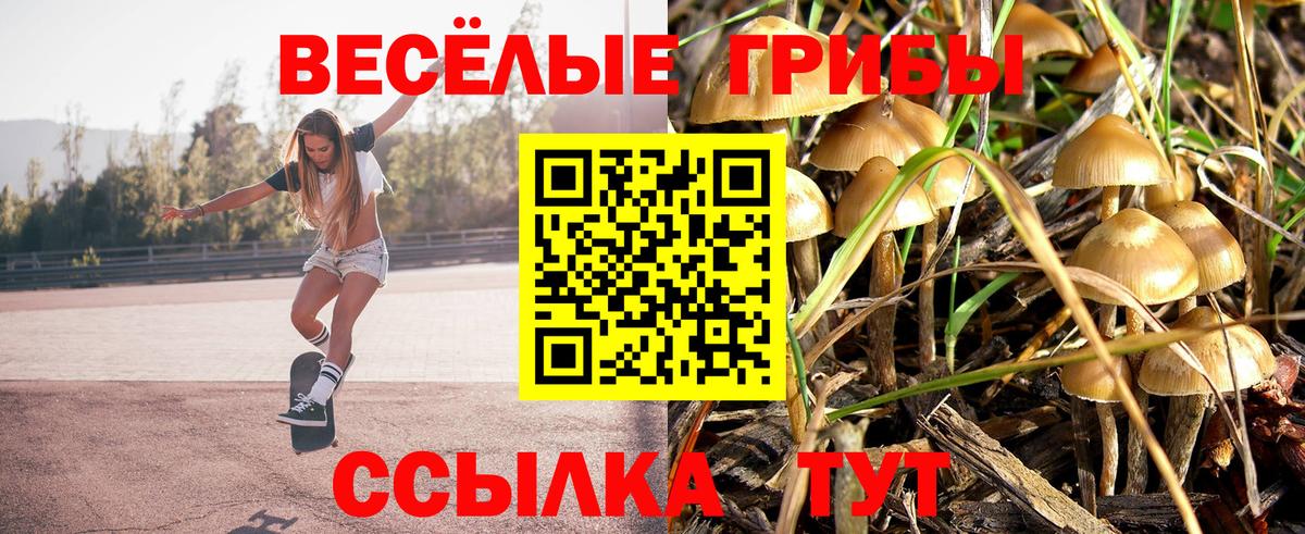 Псилоцибиновые грибы мицелий  Вход с VPN  Иваново 